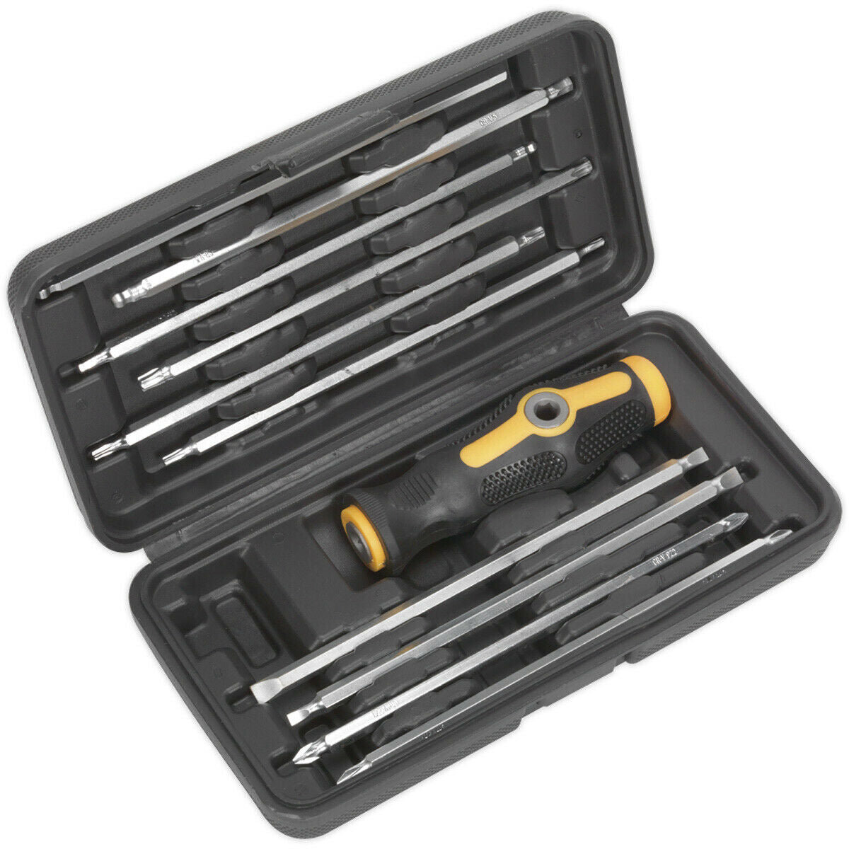 20-in-1 T Bar Screwdriver Set - Slotted Phillips TRX Hex Ball - Long Bits & Case